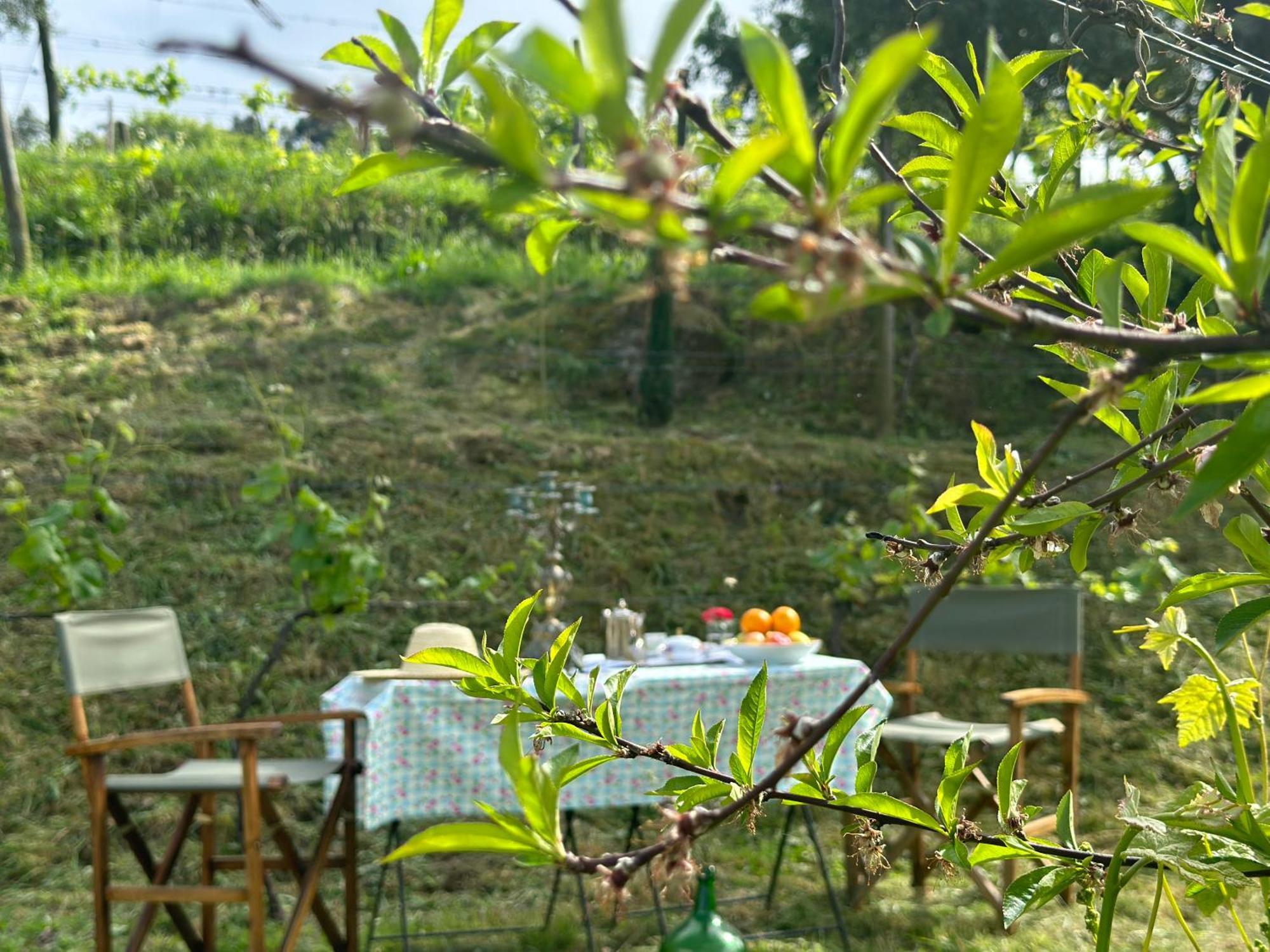 Carmo's Boutique Hotel - Small Luxury Hotels of the World Ponte de Lima Extérieur photo